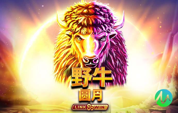 天下彩9944CC天下全文